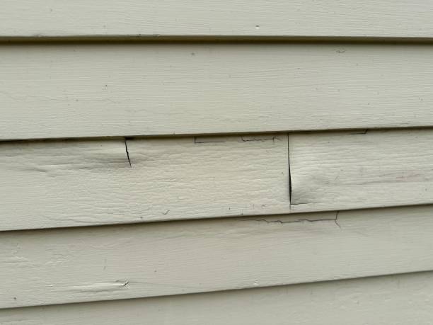 Best Hoarding Cleanup  in North Judson, IN